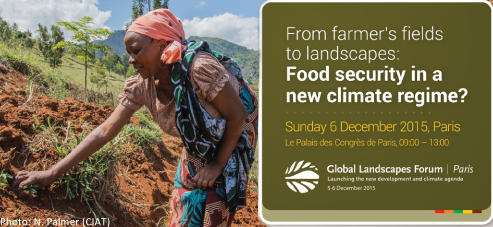 From farmer’s fields to landscapes. Food security in a new climate regime?