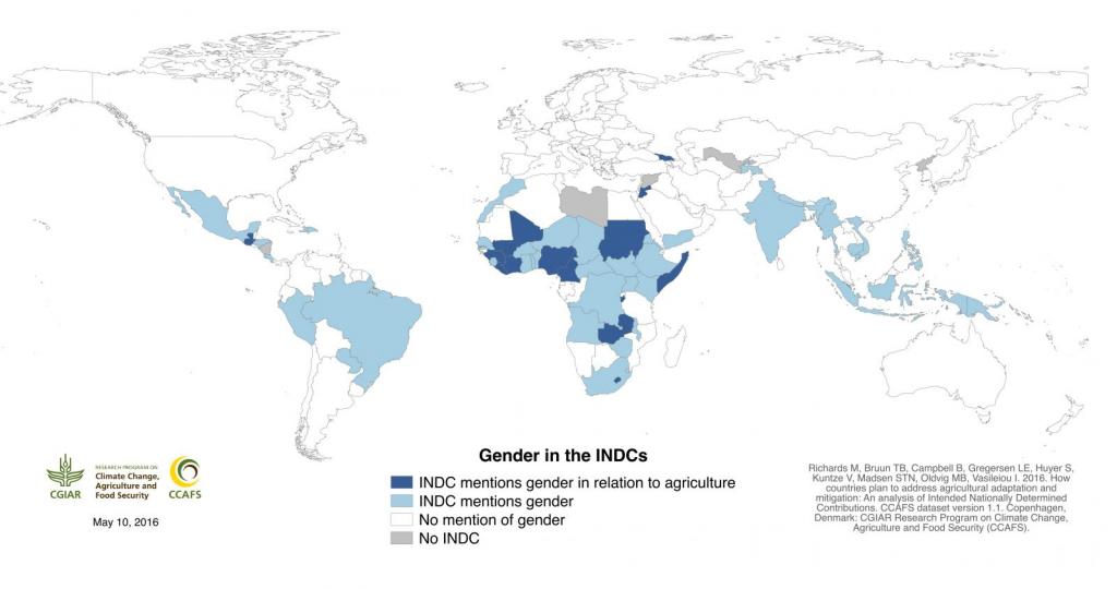 Gender in the INDCs (Click to enlarge)