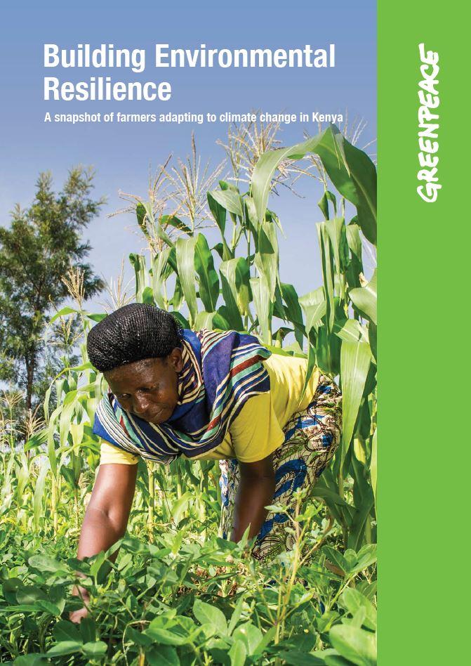 Greanpeace building resilience report