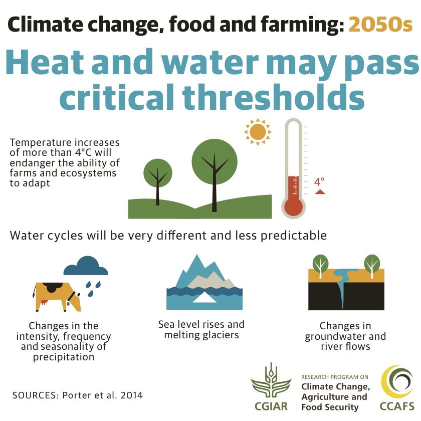 Climate change and farming: what you need to know about the IPCC report