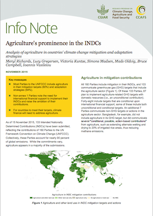 Agriculture's prominence in the INDCs