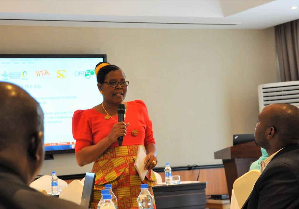 Ms. Natai Shakwaanande, Head of Environment Management Unit Ministry of Agriculture, Livestock and Fisheries, Tanzania 