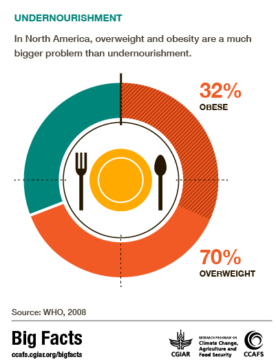 In North America, overweight and obesity are a much bigger problem than undernourishment