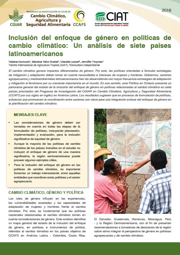 Download the policy brief (in Spanish)