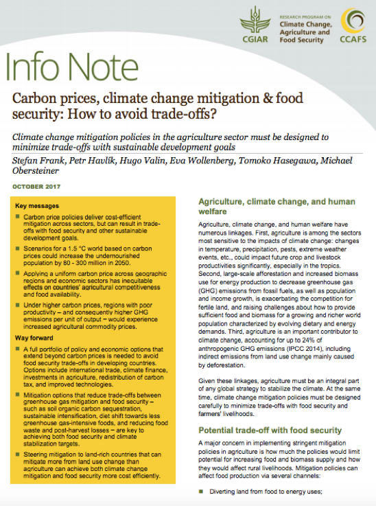 Global carbon tax would increase undernourished by 80-300 million