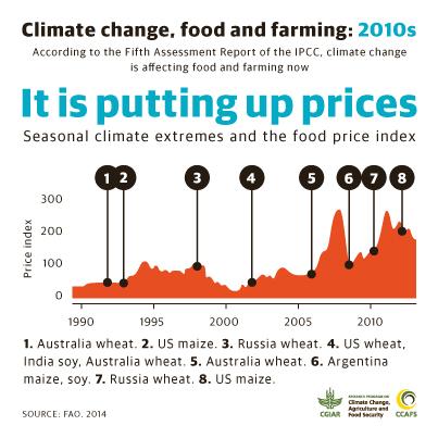 Climate change and farming: what you need to know about the IPCC report