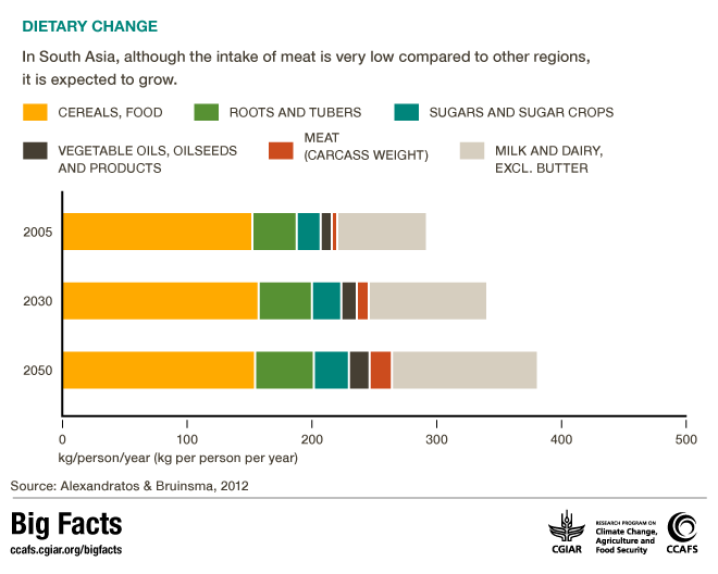 Changing Diets in South Asia. CCAFS Big Facts
