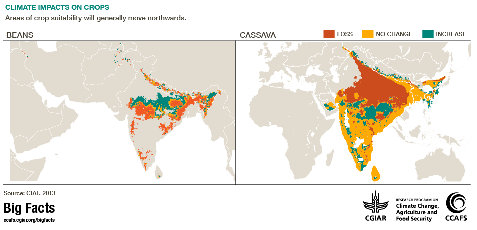 climate impacts crops CCAFS Big facts South Asia