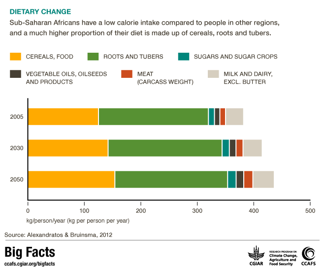 sub-saharan africa diet change climate change ccafs big facts