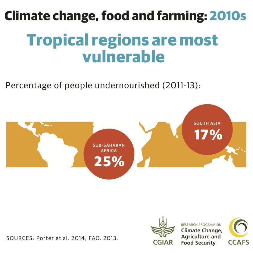 Climate change and farming: what you need to know about the IPCC report