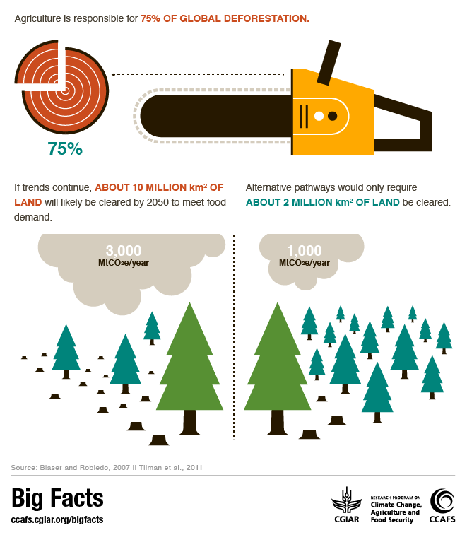Big Facts: agriculture is responsible for 75% of global deforestation