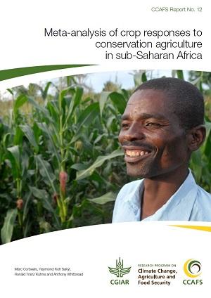 Meta-analysis of crop responses to conservation agriculture in sub-Saharan Africa. Click to download.