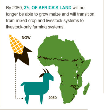 africa crop and livestock farming system impact climate change CCAFS big facts