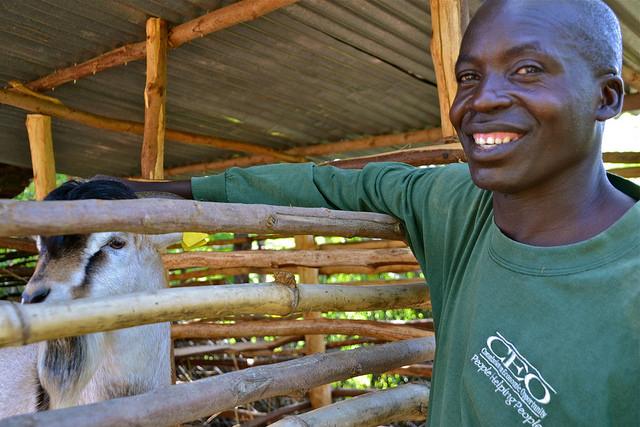 A kenyan climate-Smart farmer keeps milk-producing goats and goats that produce more meat. Photo: C. Schubert (CCAFS).