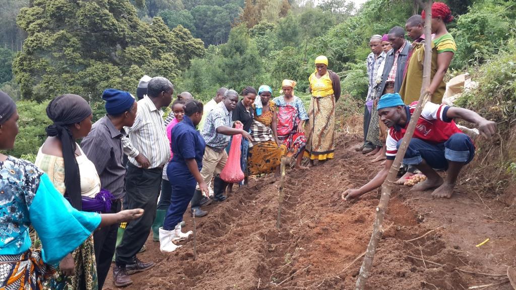 Action research by potato farmers in Lushoto, Tanzania