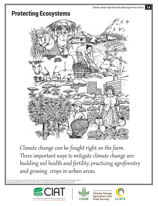 Climate-Smart Agriculture: Protecting Ecosystems
