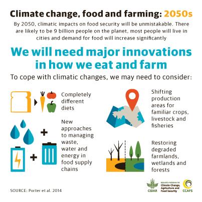 Climate change and farming: what you need to know about the IPCC report