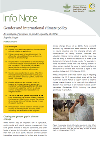 Gender and international climate change policy