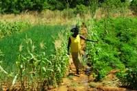 Helene on her vegetable farm