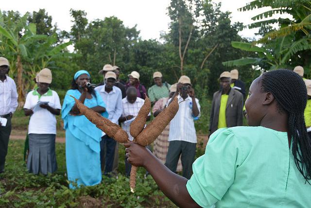 Learning visits ensure lessons are shared with all stakeholders including farmers and policymakers