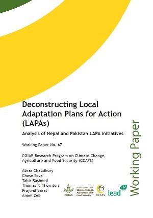 Deconstructing Local Adaptation Plans for Action (LAPAs)