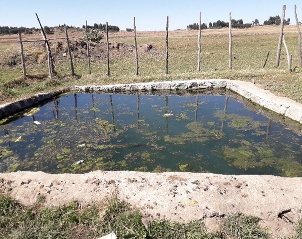Small water harvesting ponds with a potential use for irrigation purposes