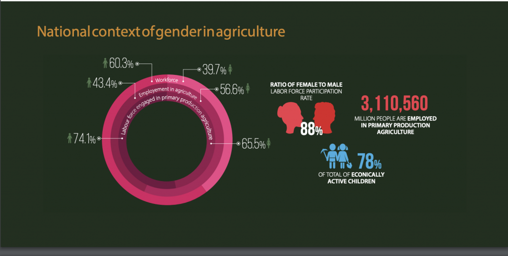 Gender realities in the Ghanaian agricultural sector