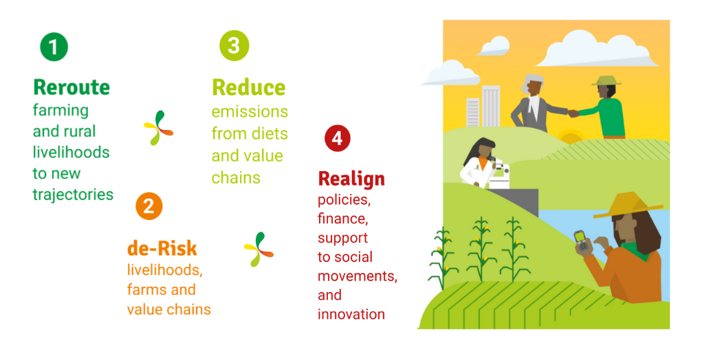 Four targeted action areas for transforming food systems