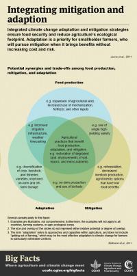Get the Big Facts on links between adaptation and mitigation.