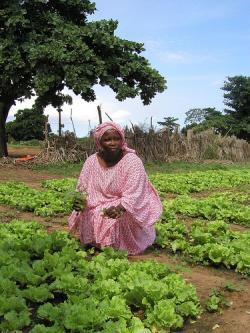Kenyan woman farmer