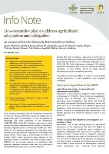 How countries plan to address agricultural adaptation and mitigation