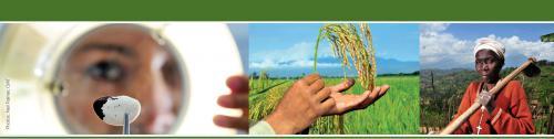 Commission on Sustainable Agriculture and Climate Change
