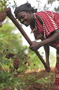 The yield gap in agriculture, between men and women, averages around 20–30 percent. This is mostly due to differences in resource use. Photo: L. E. Pohl
