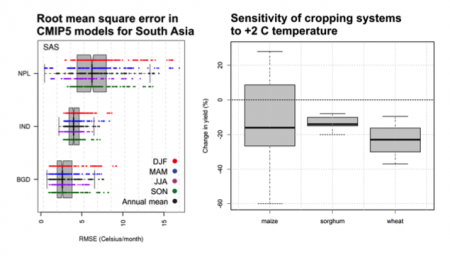 Errors in the CMIP5 ensemble (measured by the root mean squared error, RMSE) (left) and sensitivity of major cropping systems to +2 C increase in temperature (right)