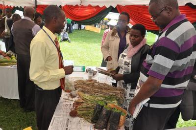 Simon Musila is showing his 'finger millet' innovation to participants. Photo: S. Makau (CCAFS) 