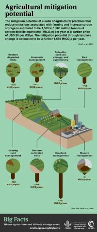 The restoration of cultivated organic soils and degraded lands, could help reduce agriculture's contribution to climate change.