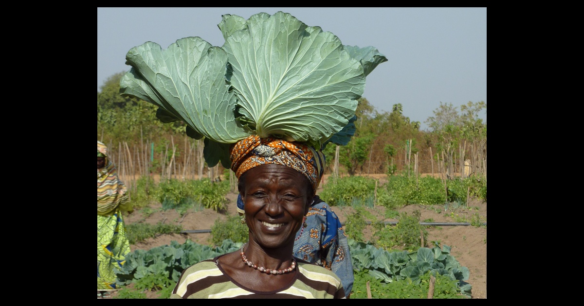 A Climate Smart Agriculture Alliance for Africa aimed to  