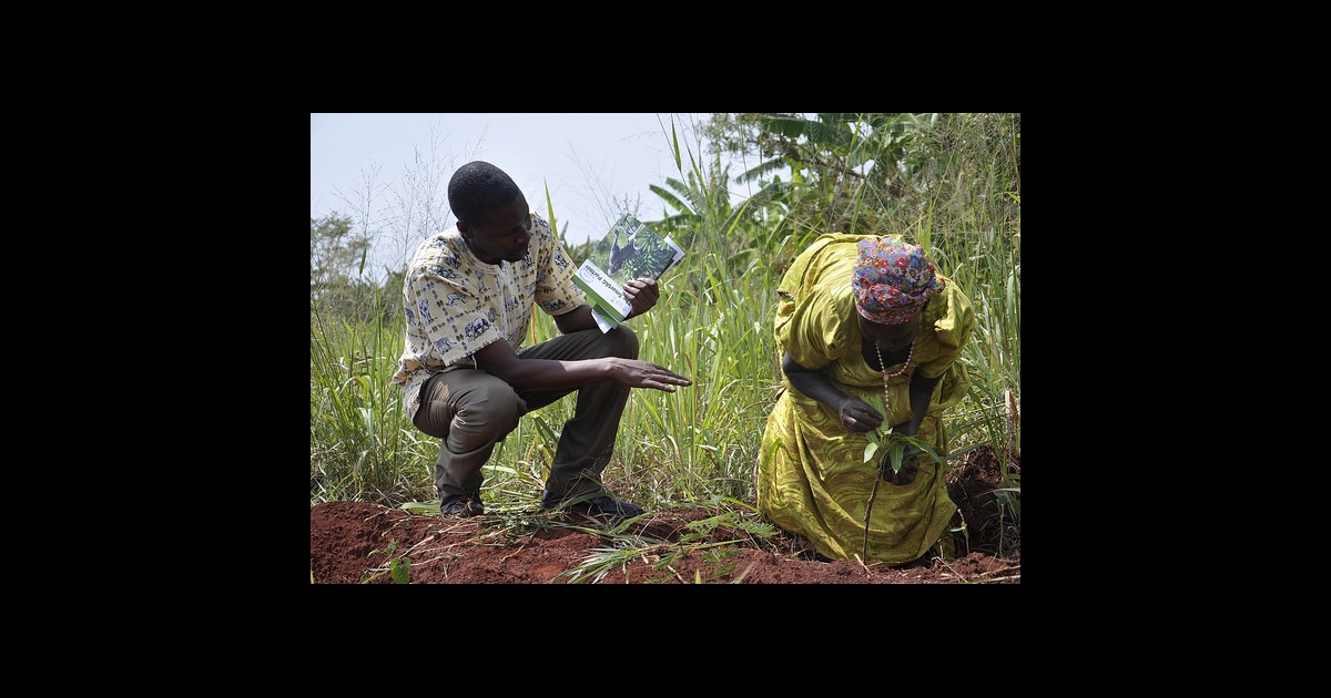 Indigenous knowledge in weather forecasting: Lessons to  