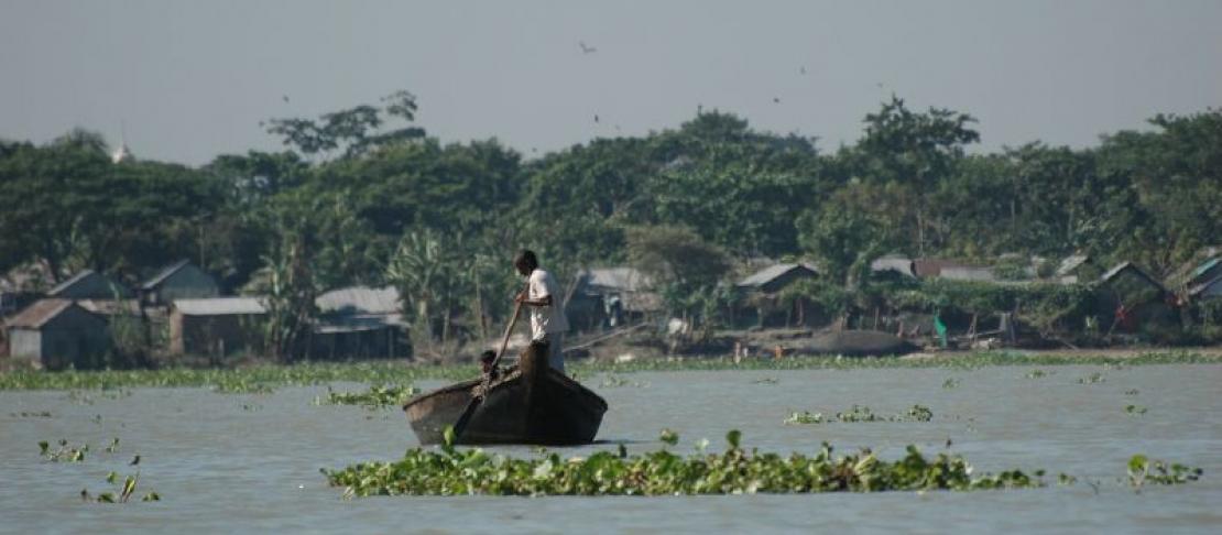 Water hyacinth. Source: https://www.flickr.com/photos/bangladeshboat/1803833822/