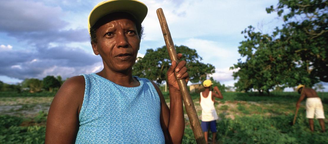 Maria and her family tend a crop of potatoes. Source: https://www.flickr.com/photos/worldbank/3632612845/