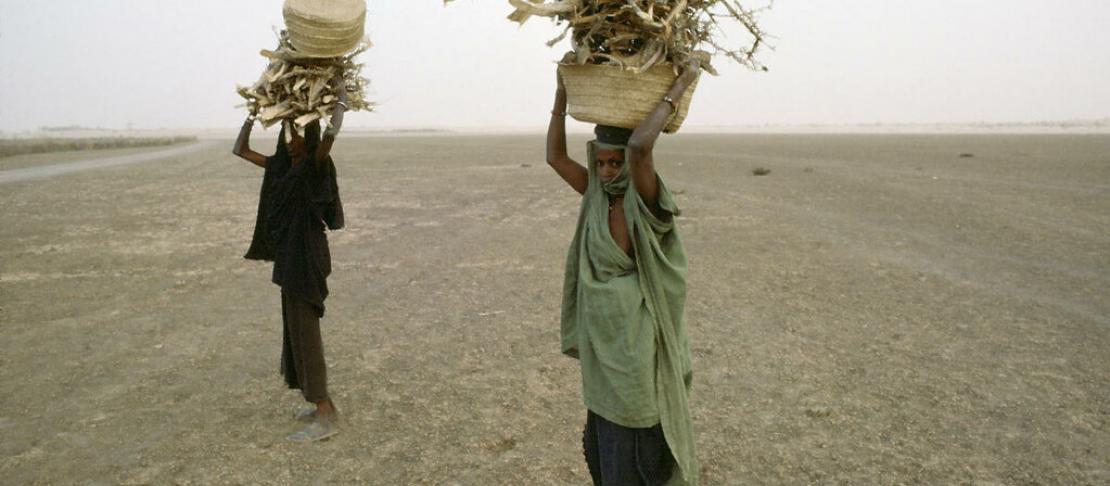Mali Women Collect Firewood on Dry Riverbed. Source: https://www.flickr.com/photos/un_photo/5126021967/in/photostream/