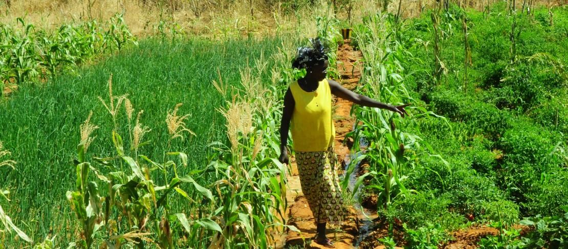 Helene is a female farmer from Burkina Faso grows vegetables in the dry season through using simple irrigation techniques. Source: https://www.flickr.com/photos/cgiarclimate/5217855344/in/set-72157625492028228/