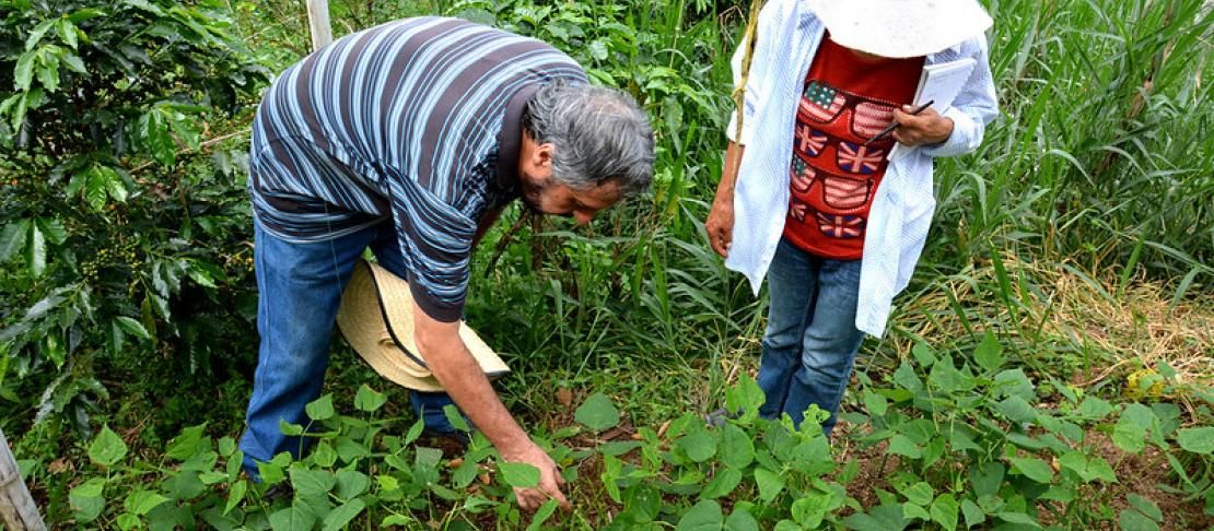 Visita de campo a la comunidad de Los Cerrillos, donde los agricultores iniciaron prácticas climáticamente inteligentes como la diversificación de cultivos y la gestión del agua.