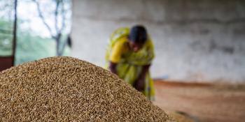 Pile of grain with a woman in the background