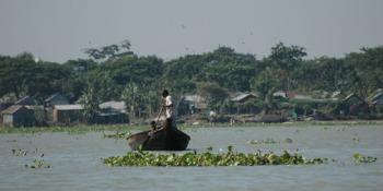 Water hyacinth. Source: https://www.flickr.com/photos/bangladeshboat/1803833822/