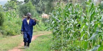 A maize farmer in Kisumu, Kenya, who has signed up to receive text messages from the CIAT-led Africa Soil Information Service (AfSIS)