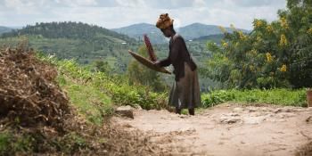 A Rwanda woman in a long skirt tosses beans in a flat-shaped basket against a landscape of green hills.