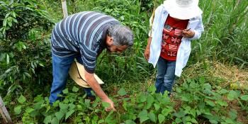 Visita de campo a la comunidad de Los Cerrillos, donde los agricultores iniciaron prácticas climáticamente inteligentes como la diversificación de cultivos y la gestión del agua.
