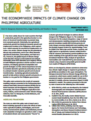 The Economywide Impacts Of Climate Change On Philippine Agriculture