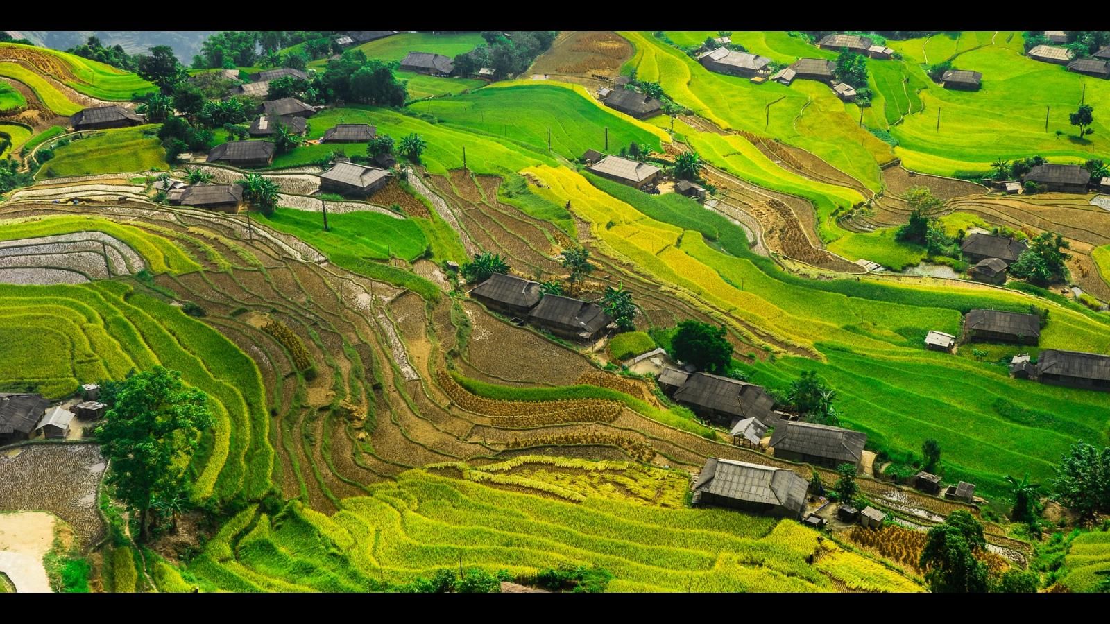 Main image alt text